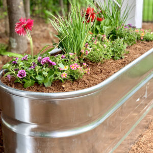 Transform a Water Trough into a Planter