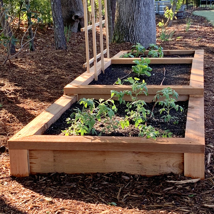 DIY a Raised Bed Vegetable Garden